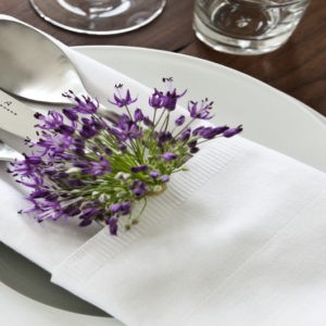 20" x 20" Napkin hire chorley